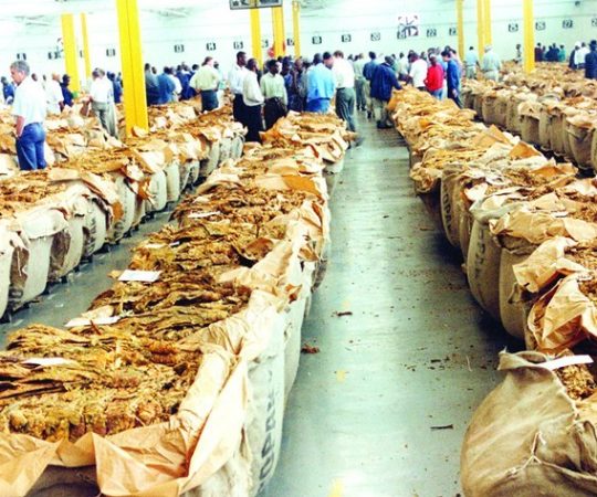 00350710 61938181baec58d3b75e4635e8005980 arc614x376 w1200