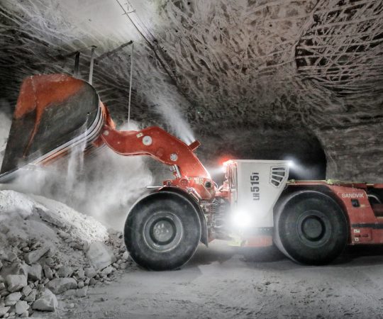 LH515i_5298-scaled-e1630455834869