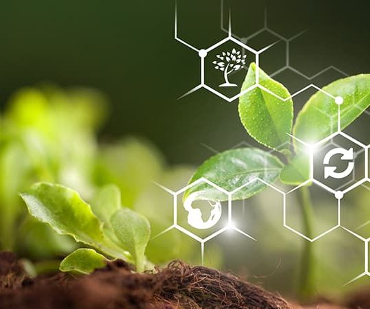 smart-farming-big-data-iot-1